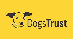 dogs-trust-logo-yellow-thumb@2x